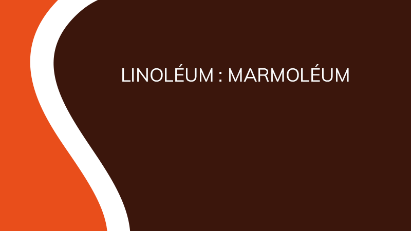 Linoléum : Marmoléum - Industrie - Saônoise de Tiroirs et Contreplaqués