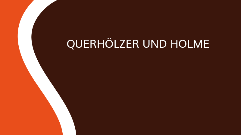 Querhölzer und Holme - Saônoise de Tiroirs et Contreplaqués